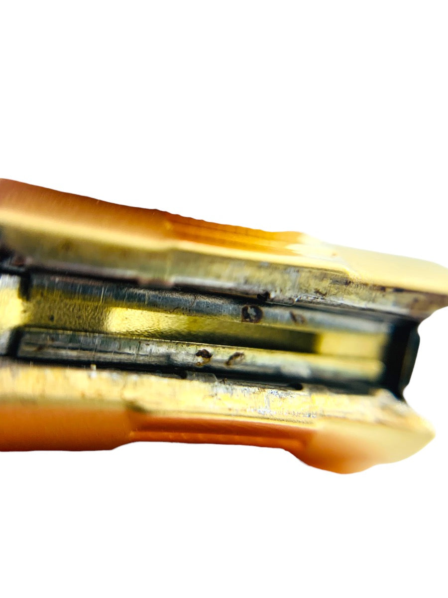 Disney 24 Year Cast Member Retirement Watch "Golden Ears"