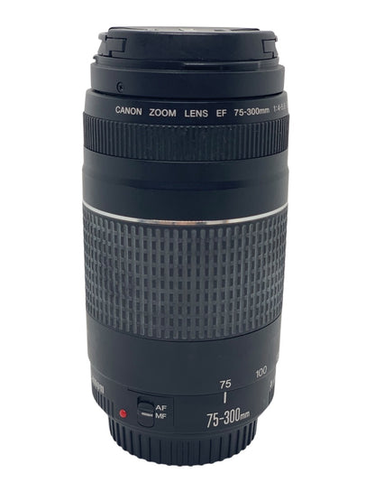 Canon Zoom Lens EF 75-300mm 1:4-5.6 III Telephoto Lens