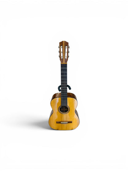 Goya G-15 6 string Acoustic guitar