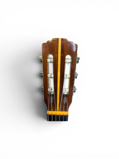 Goya G-15 6 string Acoustic guitar