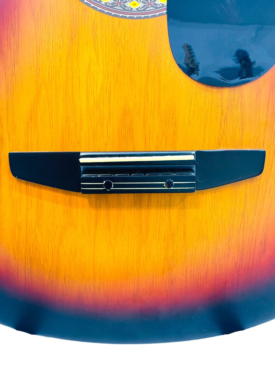 Toyama Japan Hand-Made Design Acoustic Guitar Model IGT0151MCVS