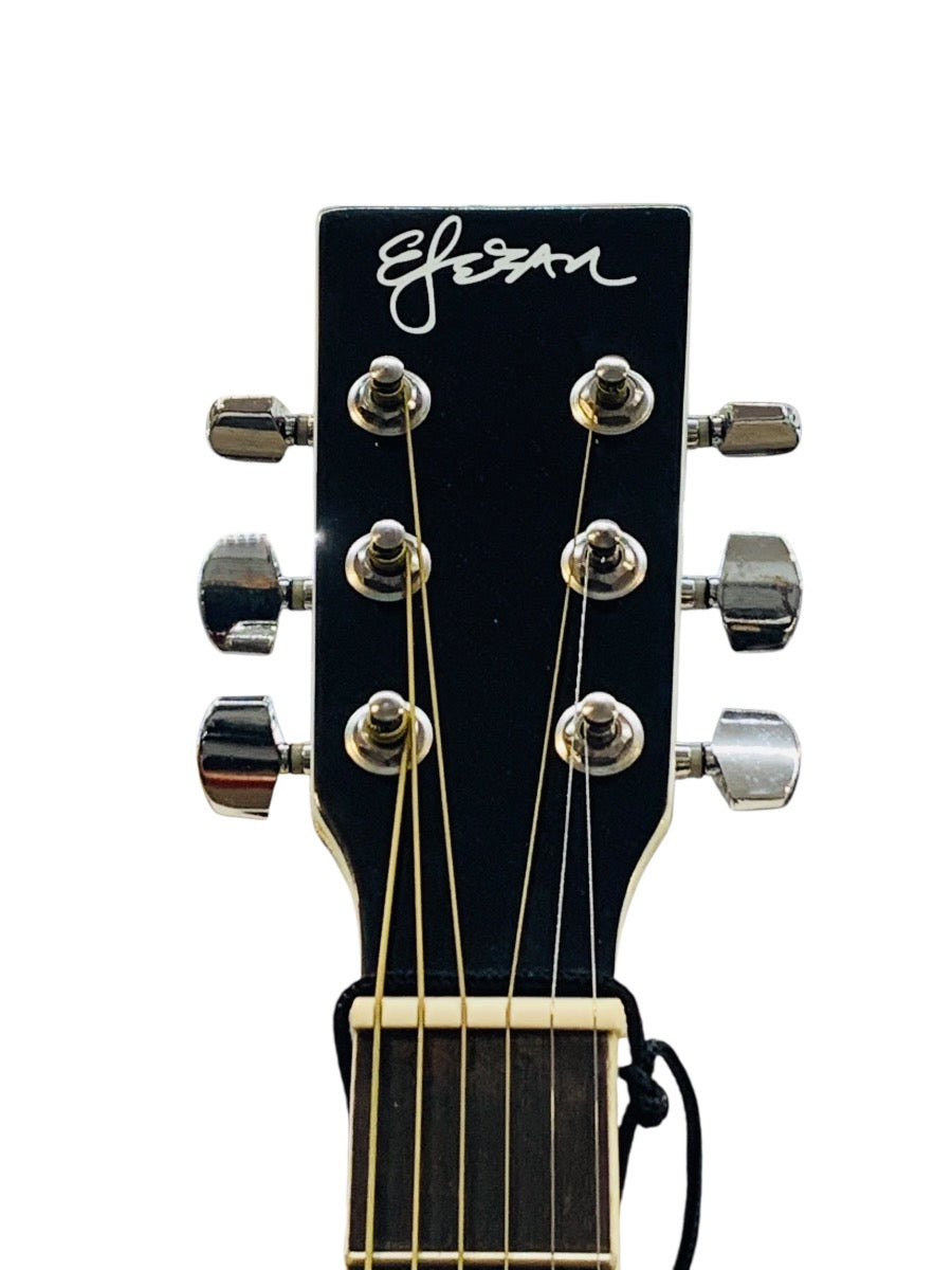 Esteban American Legacy AL-100 Electric / Acoustic Guitar 2-Tone