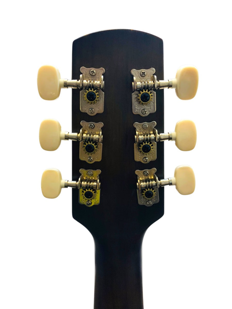 Toyama Japan Hand-Made Design Acoustic Guitar Model IGT0151MCVS