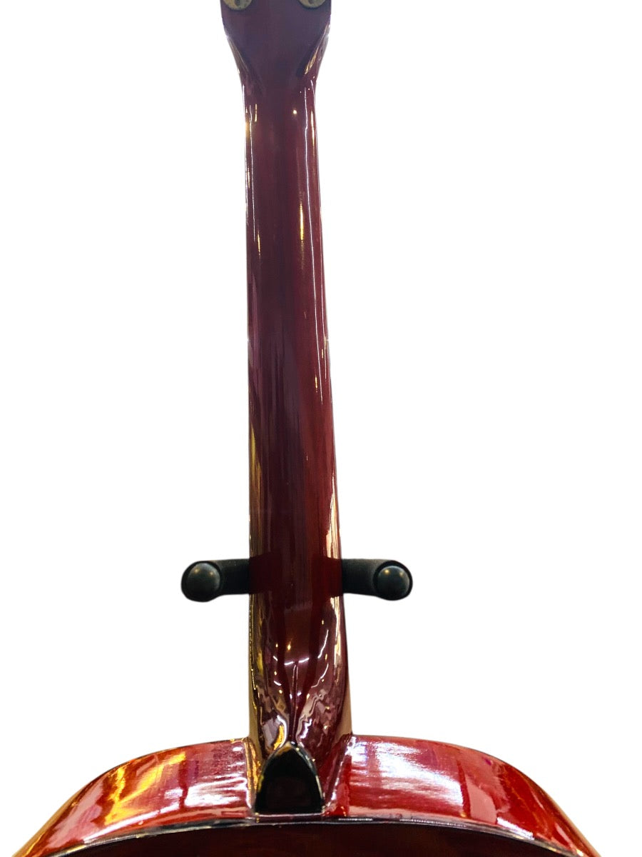 Antares 6-String Acoustic Guitar DX-26Y