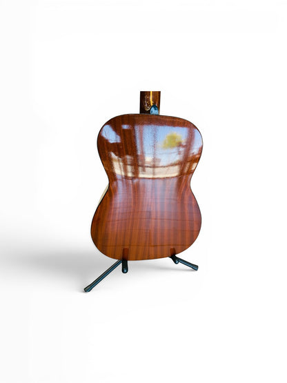 Goya G-15 6 string Acoustic guitar